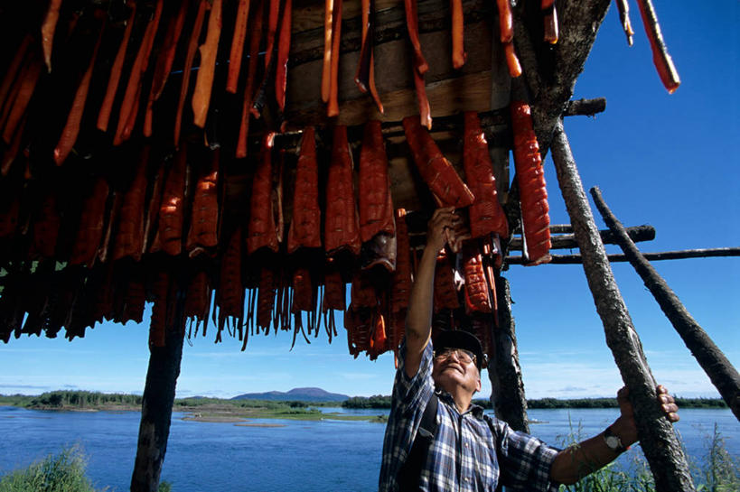 成年人,老年人,一个人,横图,室外,白天,渔业,美国,仅一个男性,仅一个人,食品,饮食,仅一个老年男性,生病,摄影,印第安人,肉毒杆菌,化学反应,烘干,老年男性,男人,男性,海产,彩图,传统文化