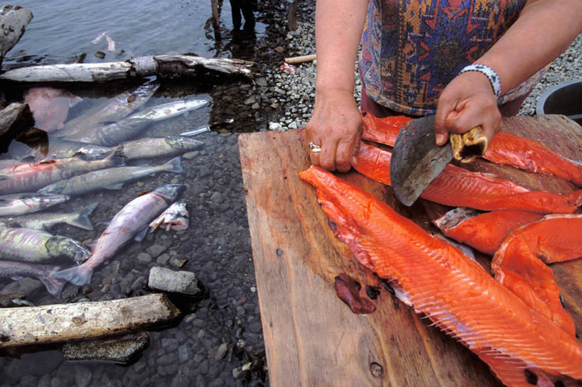 手,横图,室外,白天,渔业,微生物,美国,细菌,肉,食品,鱼类,动物,生病,摄影,直升机,疾病,美洲,阿拉斯加,化学反应,烘干,烹调用具,海产,彩图,原核生物