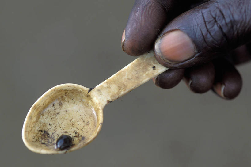 横图,湖,水,餐具,非洲,肯尼亚,蜗牛,无脊椎动物,动物,汤匙,生病,摄影,软体动物,疾病,曼氏血吸虫,维多利亚湖,东非,蠕虫,腹足动物,非洲人,彩图,吸虫,扁形虫