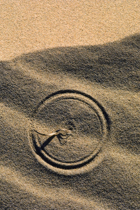 无人,竖图,室外,白天,风,科学,沙子,沙丘,草,摄影,罗盘,数学,螺线,式样,几何形状,彩图,分形