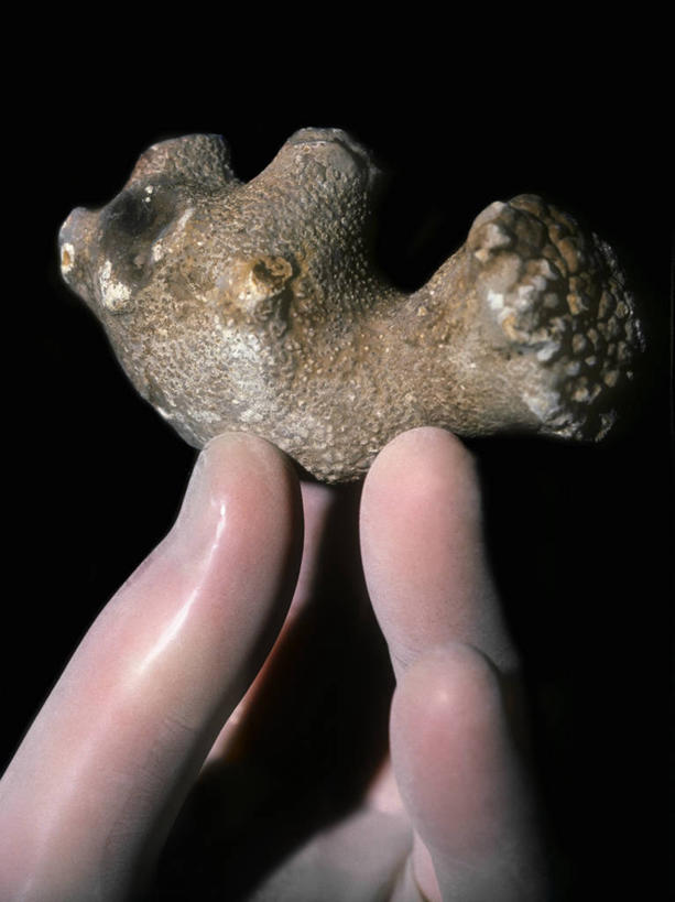 一个人,医院,竖图,室内,特写,侧面,安全,黑色背景,实验室,防护,拿着,手套,生病,手指,摄影,保护,部分,感冒,手术,疾病,生物学,出示,保险,比例,保全,周全,安稳,安定,防护手套,矿物质,肾结石,平安,彩图,影棚拍摄,钙化