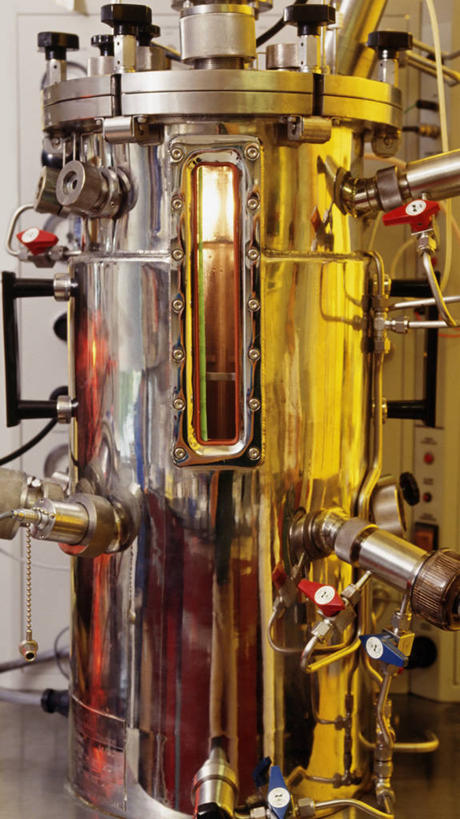 无人,竖图,室内,安全,技术,不锈钢,研究,光线,科学,化学,细菌,测量,金属,管子,药剂,液体,实验室,防护,光芒,联系,设备,物品,把手,容器,药品,治疗,注射,摄影,流动,保护,药物,阀门,医疗,生物学,抗生素,旋钮,保险,艾滋病,预防,仪表盘,注射剂,机件,解决,控制杆,平安,注射液,彩图,接种疫苗