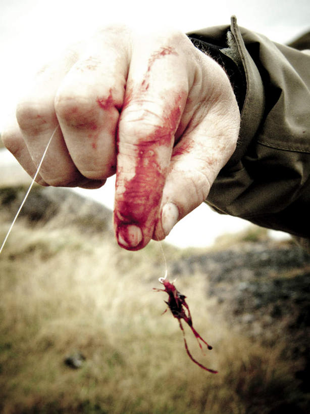 西方人,手,一个人,站,举,竖图,室外,特写,白天,正面,草地,草坪,植物,欧洲,欧洲人,仅一个男性,仅一个人,握,阴影,朦胧,模糊,光线,影子,拿,拿着,右手,草,仅一个年轻男性,绿色,阳光,托,站着,手部,握着,鱼钩,男人,男性,年轻男性,白种人,举起,举手,举着,向上举,向上伸,向上托,站立,半身,彩图