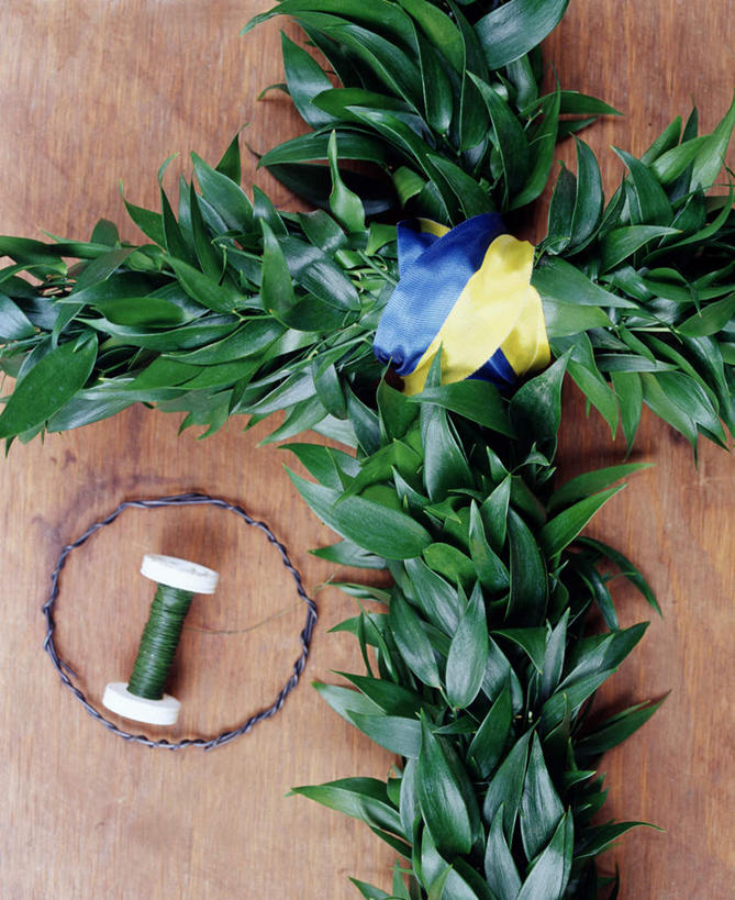 无人,竖图,俯视,室内,白天,桌面,叶子,阴影,艺术,光线,十字架,影子,圆圈,绿叶,艺术品,阳光,工艺品,嫩叶,精致,工艺,美术,优美,胶片,精美,精彩,精巧,叶,叶片,彩图,高角度拍摄