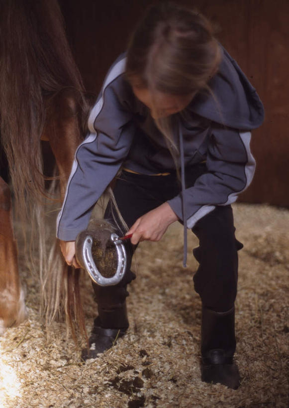 西方人,一个人,站,摸,竖图,俯视,室内,白天,植物,欧洲,欧洲人,仅一个女性,仅一个人,抚摸,枯萎,枯草,注视,草,黄色,观察,看,站着,仅一个中年女性,观看,察看,关注,马蹄,荡涤,洗濯,女人,女性,中年女性,白种人,触摸,接触,清洗,站立,彩图,高角度拍摄,全身