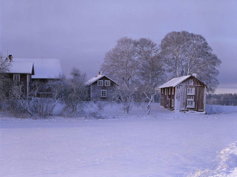 无人,家,横图,室外,白天,正面,旅游,度假,美景,雪,植物,大雪,别墅,瑞典,欧洲,房屋,屋子,积雪,景观,雪景,冬季,冬天,公寓,娱乐,洋房,楼房,住宅,树,树木,绿色,自然,享受,休闲,景色,放松,寒冷,生长,成长,斯堪的纳维亚,自然风光,北欧,斯堪的纳维亚半岛,严寒,布胡斯,瑞典王国,彩图,房子