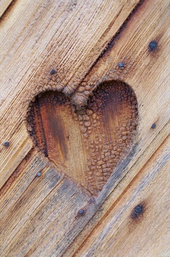 无人,竖图,俯视,室内,特写,白天,爱情,桌面,桌子,一排,形状,爱心,整齐,天然,木制,浪漫,排列,一个,自然,木制品,温暖,温馨,心形,恩爱,单个,和睦,队列,形态,外形,心型,彩图,高角度拍摄,融洽