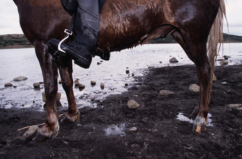 西方人,一个人,坐,横图,室外,白天,正面,雪,植物,大雪,马,野生动物,金属制品,欧洲,欧洲人,仅一个男性,仅一个人,阴影,光线,金属,影子,积雪,雪景,冬季,冬天,一匹,树,树木,仅一个年轻男性,绿色,阳光,自然,动物,寒冷,运输,牲畜,生长,成长,严寒,马具,马镫,男人,男性,年轻男性,白种人,坐着,半身,彩图