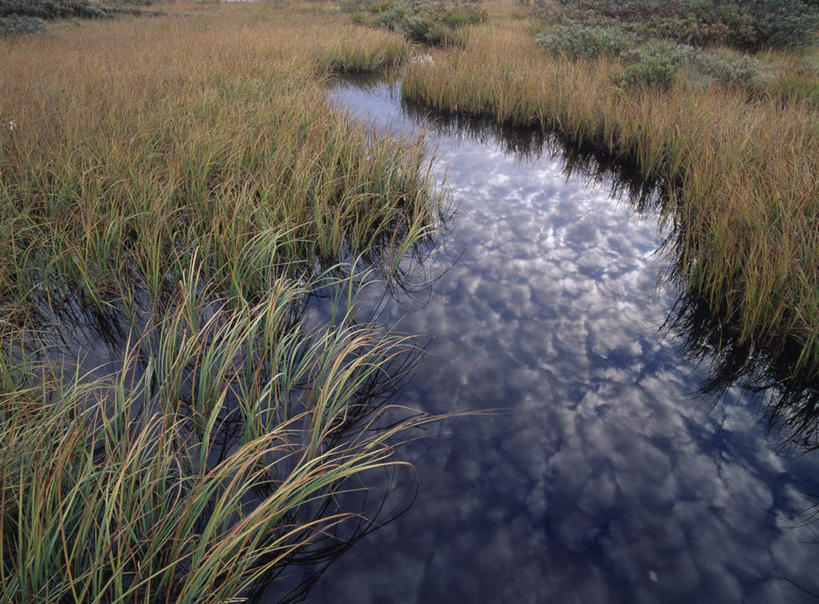 无人,横图,俯视,室外,白天,旅游,度假,河流,美景,水,植物,巴西,阴影,波纹,光线,影子,河水,景观,水流,水草,娱乐,倒影,水纹,阳光,自然,波浪,享受,休闲,景色,南美,放松,湿地,生长,成长,南美洲,倒映,拉丁美洲,自然风光,美洲,巴西联邦共和国,亚美利加洲,南亚美利加洲,潘塔纳尔湿地,马托格罗索州,反照,彩图,高角度拍摄