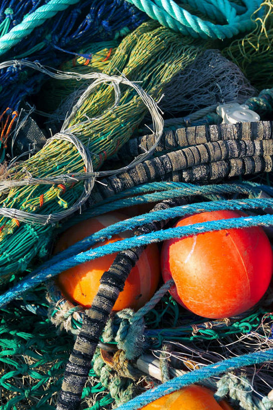 无人,竖图,俯视,室外,白天,草地,草坪,植物,一堆,阴影,堆叠,堆积,丰富,平静,光线,影子,丰盛,草,绿色,阳光,绳子,安静,渔网,堆,宁静,绳索,渔具,静谧,抓捕,捕捞,鱼网,拉网,捕捞工具,沉静,恬静,安祥,僻静,清静,太平,丰硕,丰厚,富厚,厚实,彩图,高角度拍摄