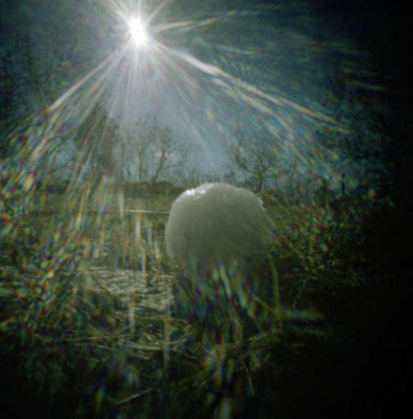 无人,竖图,室外,白天,正面,旅游,度假,草地,草坪,美景,太阳,雪,植物,大雪,瑞典,欧洲,阴影,平静,光线,影子,积雪,景观,雪景,冬季,冬天,娱乐,草,树,树木,蓝色,绿色,蓝天,天空,阳光,自然,天,享受,休闲,景色,安静,放松,寒冷,生长,成长,宁静,雪球,斯堪的纳维亚,静谧,自然风光,北欧,斯堪的纳维亚半岛,严寒,沉静,恬静,安祥,僻静,清静,太平,瑞典王国,炫光,彩图