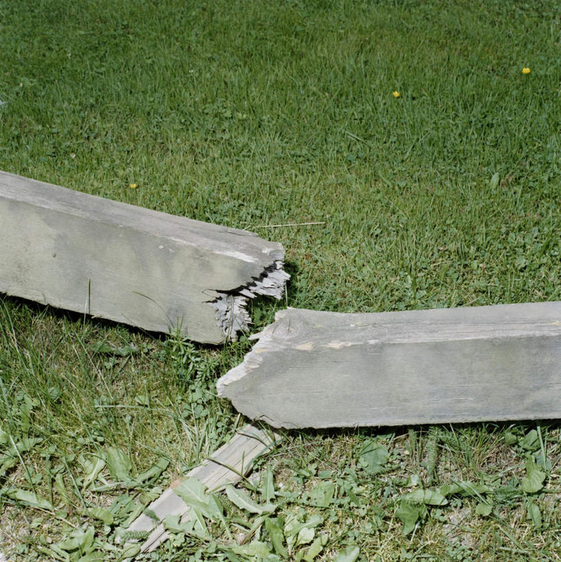 无人,竖图,俯视,室外,特写,白天,草地,草坪,植物,阴影,新鲜,光线,影子,柱子,破坏,破损,草,一个,绿色,阳光,断裂,单个,青春,损坏,生命,和平,安详,冷色,彩图,高角度拍摄