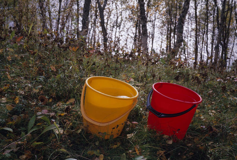 无人,横图,俯视,室外,白天,旅游,度假,草地,草坪,美景,水,植物,阴影,光线,水桶,液体,影子,景观,水滴,枝条,娱乐,草,树,树木,树枝,两个,黄色,红色,阳光,自然,享受,休闲,景色,放松,自然风光,虬枝,枝杈,彩图,高角度拍摄