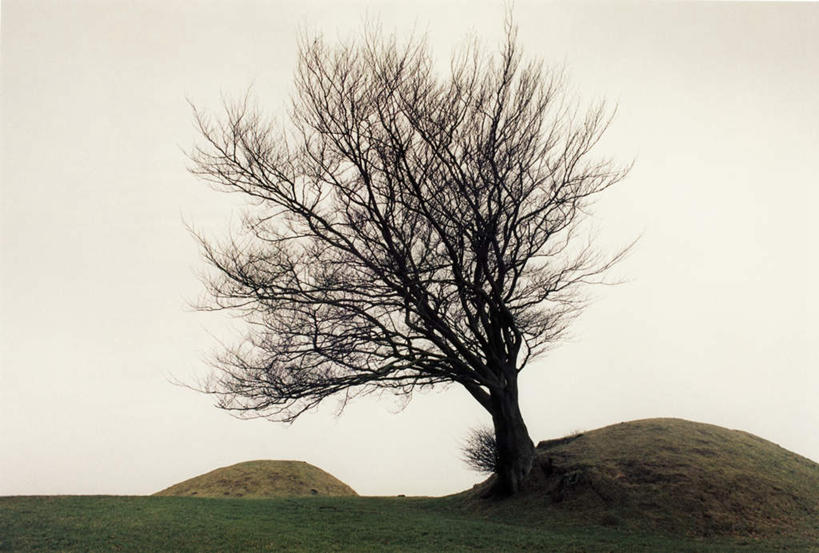 无人,横图,室外,白天,正面,旅游,度假,草地,草坪,美景,植物,阴影,光线,影子,景观,云,云朵,土堆,云彩,娱乐,草,树,树木,蓝色,绿色,白云,蓝天,天空,阳光,自然,天,享受,休闲,景色,放松,生长,成长,自然风光,彩图