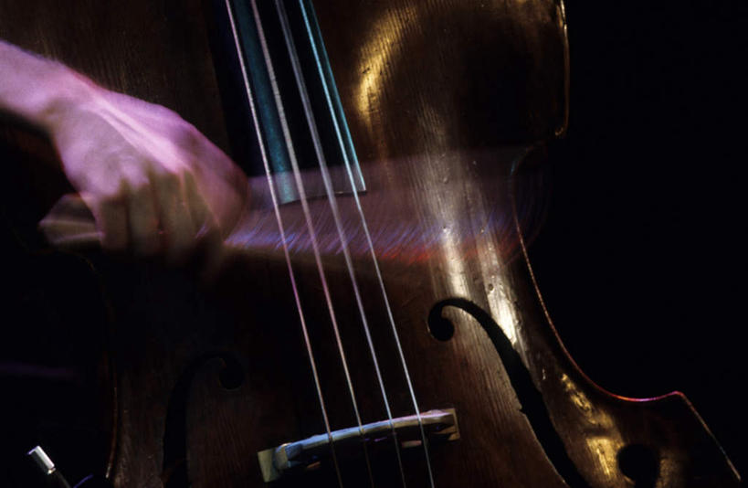 西方人,手,一个人,坐,横图,室内,特写,白天,侧面,欧洲,欧洲人,仅一个男性,仅一个人,握,黑色背景,乐器,弦乐器,小提琴,拿,拿着,右手,仅一个年轻男性,手部,握着,单手,弓拉弦乐器,弓拉弦鸣乐器,男人,男性,年轻男性,白种人,坐着,半身,彩图