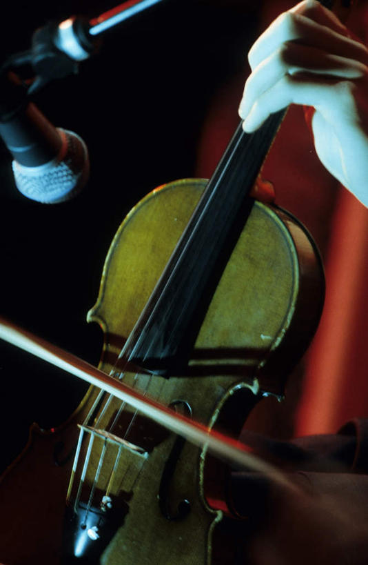 西方人,手,一个人,坐,竖图,室内,特写,白天,正面,欧洲,欧洲人,仅一个男性,仅一个人,握,黑色背景,乐器,弦乐器,小提琴,训练,拿,拿着,仅一个年轻男性,手部,握着,单手,练习,弓拉弦乐器,弓拉弦鸣乐器,演习,操练,操演,实习,男人,男性,年轻男性,白种人,坐着,半身,彩图