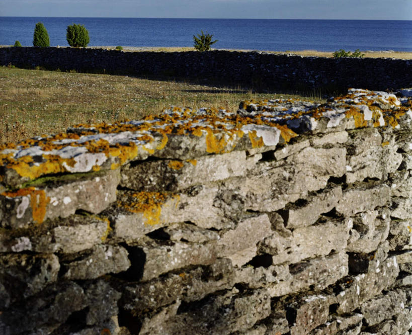 无人,横图,室外,白天,正面,旅游,度假,石头,美景,植物,瑞典,欧洲,阴影,枯萎,光线,石子,影子,墙,景观,水平线,辽阔,枯草,海平线,夏季,娱乐,墙壁,墙面,草,树,树木,黄色,绿色,阳光,自然,夏日,夏天,享受,休闲,广阔,景色,放松,生长,成长,一望无际,斯堪的纳维亚,自然风光,北欧,斯堪的那维亚,斯堪的那维亚半岛,斯堪的纳维亚半岛,炎天,哥得兰岛,哥得兰省,哥特兰,哥特兰省,瑞典王国,无边无际,一马平川,石块,岩石,彩图,水天相接,水天一线