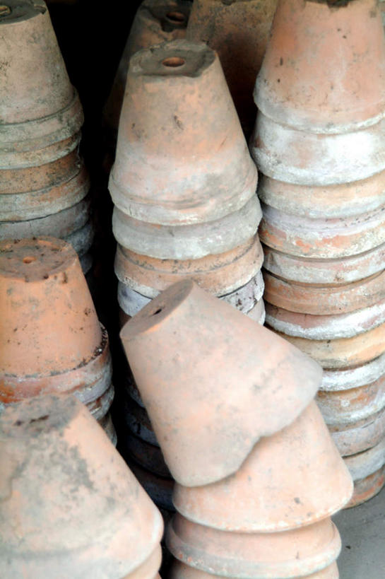 无人,竖图,俯视,室外,特写,白天,植物,一堆,许多,阴影,堆叠,堆积,平静,光线,盆栽,影子,褐色,盆景,很多,绿色,阳光,自然,安静,生长,成长,堆,宁静,静谧,沉静,恬静,安祥,僻静,清静,太平,彩图,高角度拍摄