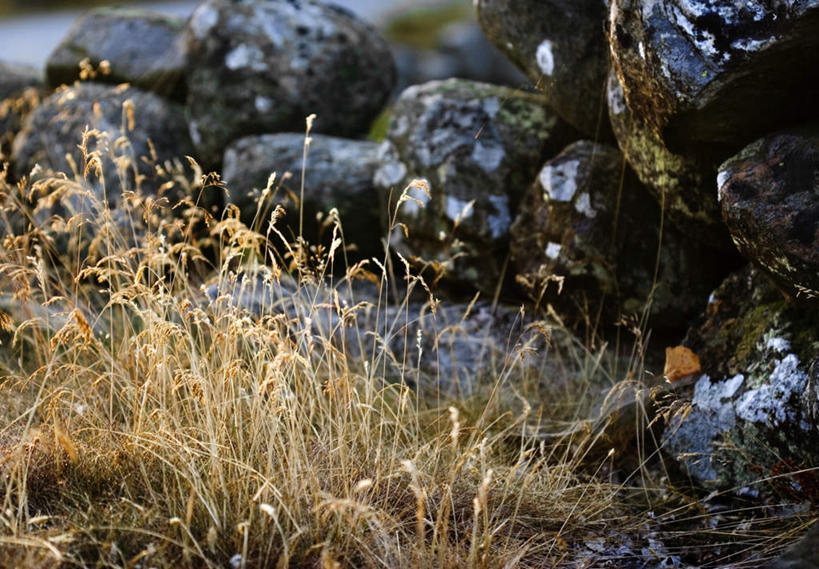 无人,横图,俯视,室外,白天,石头,美景,植物,一堆,阴影,堆叠,堆积,枯萎,粗糙,平静,光线,石子,影子,景观,枯草,草,黄色,阳光,自然,景色,安静,高低,堆,宁静,凹凸,毛糙,静谧,自然风光,洼地,沉静,恬静,安祥,僻静,清静,太平,崎岖,石块,岩石,彩图,高角度拍摄,粗拙