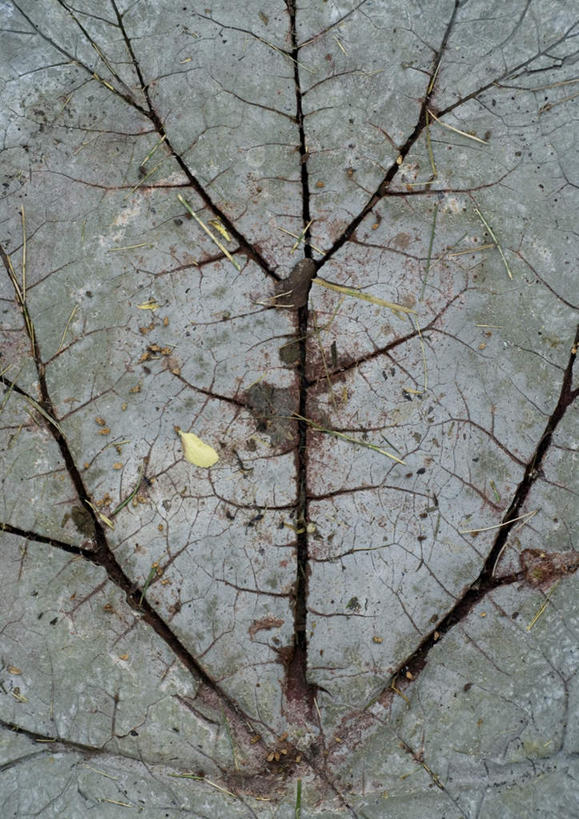 无人,竖图,室外,特写,白天,正面,阴影,堆积,缝隙,平静,裂缝,裂痕,光线,纹路,纹理,影子,痕迹,破坏,破损,阳光,安静,宁静,风化,损坏,静谧,肌理,沉静,恬静,陈迹,安祥,僻静,清静,太平,风蚀,石化,风蚀地貌,岩石层,岩石,彩图