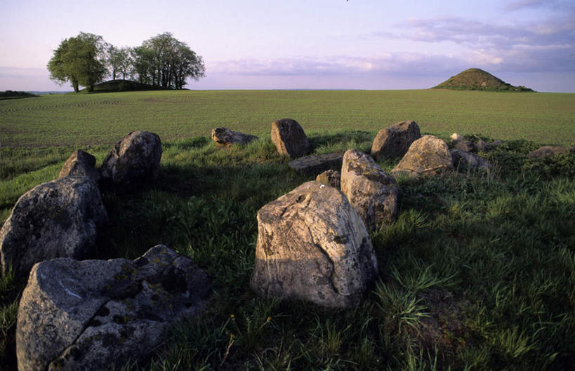 无人,横图,俯视,室外,白天,草地,草坪,石头,美景,日落,植物,粗糙,平静,石子,景观,晚霞,霞光,云,云朵,落日,云彩,草,树,树木,绿色,白云,自然,黄昏,景色,彩霞,安静,高低,生长,成长,宁静,凹凸,毛糙,静谧,自然风光,洼地,沉静,恬静,安祥,僻静,清静,太平,崎岖,夕照,石块,岩石,夕阳,彩图,高角度拍摄,粗拙,斜阳
