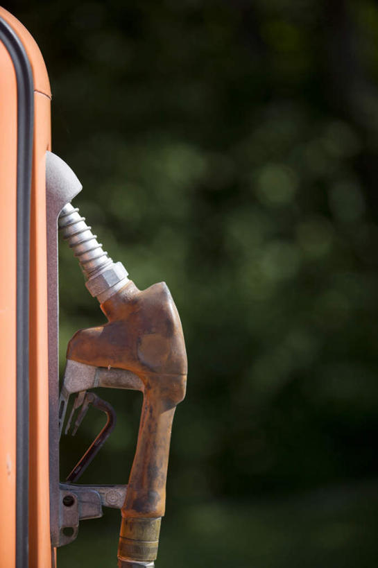 无人,竖图,室外,特写,白天,正面,植物,阴影,朦胧,模糊,光线,影子,树,树木,一个,绿色,阳光,自然,生长,能源,单个,成长,燃料,资源,能量,汽油,加油机,燃油,彩图