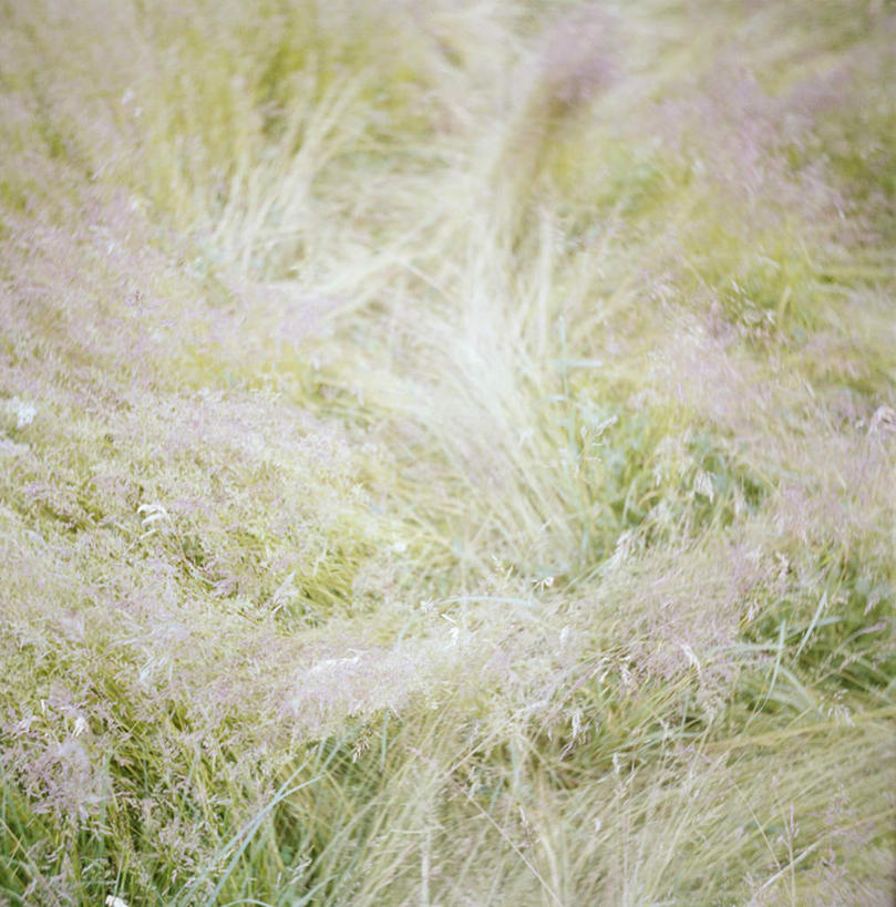 无人,竖图,室外,白天,正面,旅游,度假,草地,草坪,美景,植物,瑞典,欧洲,景观,娱乐,草,绿色,自然,享受,休闲,景色,放松,斯堪的纳维亚,自然风光,北欧,斯堪的纳维亚半岛,瑞典王国,彩图