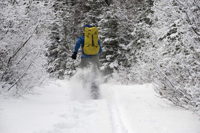 西方人,一个人,走,横图,室外,白天,正面,树林,雪,植物,大雪,欧洲,加拿大,欧洲人,仅一个男性,仅一个人,服装,积雪,雪景,冬季,冬天,注视,休闲装,树,树木,仅一个年轻男性,衣服,绿色,自然,观察,看,休闲,休闲服,寒冷,服饰,生长,成长,观看,察看,北美,北美洲,关注,美洲,北亚美利加洲,亚美利加洲,严寒,育空,育空地区,男人,男性,年轻男性,白种人,步行,散步,走路,彩图,全身