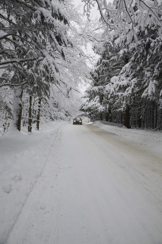 无人,竖图,室外,白天,正面,旅游,度假,美景,森林,树林,雪,植物,大雪,道路,路,公路,汽车,加拿大,阴影,光线,影子,积雪,景观,雪景,冬季,冬天,交通,娱乐,车,树,树木,绿色,阳光,自然,交通工具,轿车,享受,休闲,景色,放松,寒冷,生长,成长,北美,北美洲,自然风光,载具,美洲,北亚美利加洲,亚美利加洲,严寒,魁北克省,马路,彩图