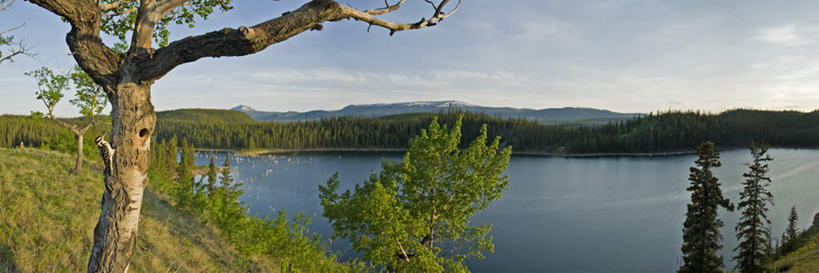 无人,横图,室外,白天,正面,旅游,度假,草地,草坪,河流,美景,山,山脉,水,植物,加拿大,阴影,光线,影子,河水,景观,山峰,水流,云,云朵,山峦,云彩,娱乐,草,树,树木,蓝色,绿色,白云,倒影,蓝天,天空,阳光,自然,群山,天,享受,休闲,景色,放松,生长,晴朗,成长,倒映,北美,北美洲,自然风光,美洲,首府,北亚美利加洲,亚美利加洲,育空,育空地区,白马市,怀特霍斯,反照,晴空,彩图