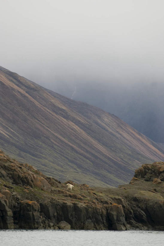 无人,竖图,室外,白天,正面,旅游,度假,草地,草坪,美景,山,山脉,植物,加拿大,阴影,朦胧,模糊,光线,影子,景观,山峰,山峦,娱乐,草,树,树木,蓝色,绿色,蓝天,天空,阳光,自然,群山,天,享受,休闲,景色,放松,生长,晴朗,成长,北美,北美洲,自然风光,美洲,万里无云,北亚美利加洲,亚美利加洲,努纳武特,努纳武特领地,晴空,晴空万里,彩图