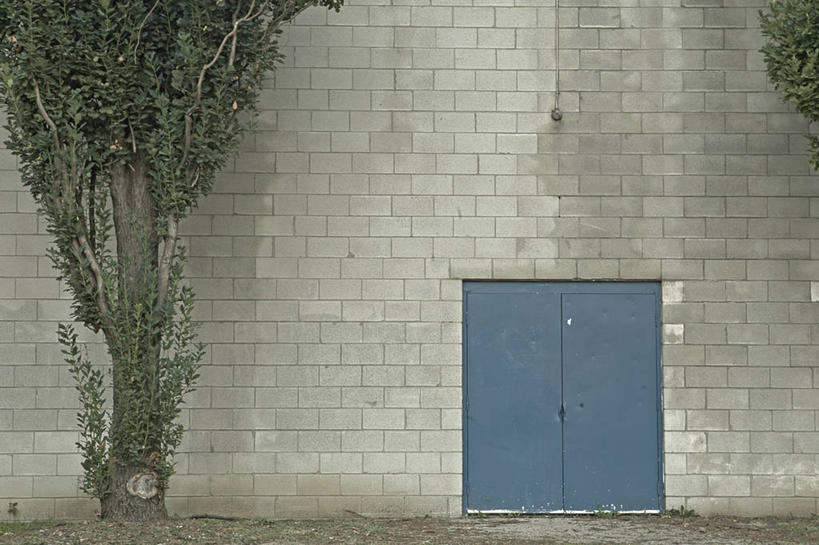 无人,工厂,横图,室外,白天,正面,计划,草地,草坪,植物,门,关闭,阴影,光线,影子,墙,泥土,土壤,墙壁,墙面,草,树,树木,蓝色,绿色,阳光,自然,门框,生长,成长,封闭,沥青,设想,设计,彩图,工地,制造厂