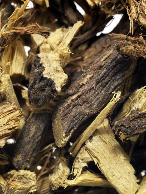 无人,竖图,俯视,室内,白天,植物,许多,阴影,光线,影子,草药,药草,中药,阳光,甜食,甘草,药材,中草药,中药材,本草,生甘草,彩图,高角度拍摄