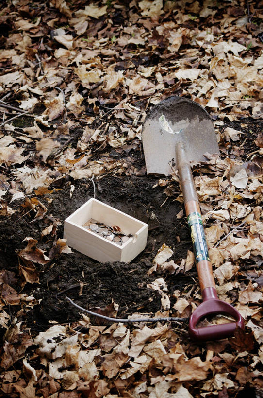 无人,竖图,俯视,室外,白天,钱,叶子,金属制品,阴影,光线,金属,材料,铲子,钱币,影子,泥土,土壤,枯叶,落叶,维护,阳光,金融,经济,保护,守护,流通,贸易,庇护,护卫,掩护,珍爱,回护,质料,货币,现金,硬币,叶,叶片,彩图,高角度拍摄