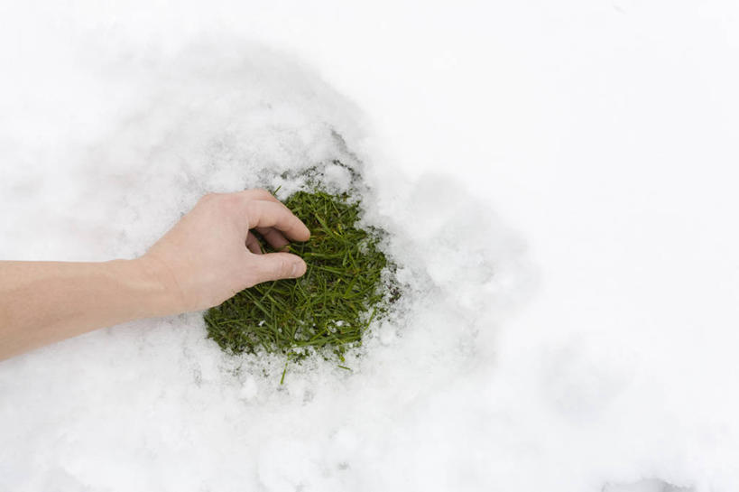 西方人,手,一个人,横图,俯视,室外,白天,旅游,度假,草地,草坪,美景,雪,植物,大雪,欧洲,欧洲人,仅一个男性,仅一个人,阴影,光线,影子,积雪,景观,雪景,冬季,冬天,拿,拿着,娱乐,草,仅一个年轻男性,绿色,阳光,自然,享受,休闲,手部,景色,放松,寒冷,坑,自然风光,严寒,男人,男性,年轻男性,白种人,半身,彩图,高角度拍摄