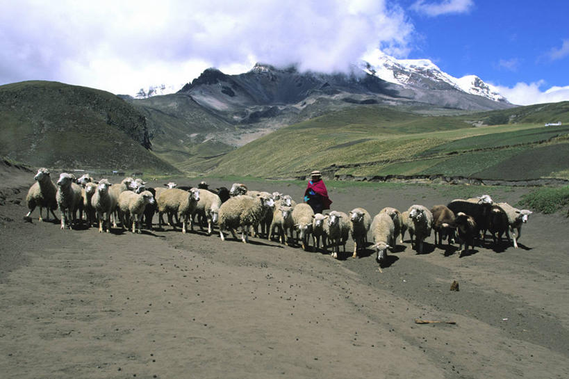 一个人,走,横图,室外,白天,正面,旅游,度假,美景,山,山脉,道路,路,公路,羊,帽子,厄瓜多尔,仅一个男性,仅一个人,仅一个中年男性,许多,服装,景观,山峰,云,云朵,交通,山峦,很多,云彩,休闲装,娱乐,运动帽,衣服,蓝色,白云,蓝天,天空,自然,动物,群山,天,享受,休闲,休闲服,鸭舌帽,家畜,景色,南美,放松,服饰,牲畜,晴朗,南美洲,拉丁美洲,自然风光,美洲,亚美利加洲,南亚美利加洲,厄瓜多尔共和国,男人,男性,中年男性,晴空,马路,绵羊,步行,散步,走路,彩图,全身