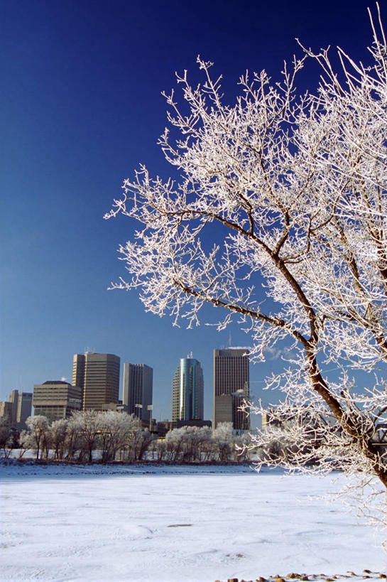 无人,高楼大厦,竖图,室外,白天,正面,度假,幸福,纯洁,美景,雪,植物,大雪,城市风光,城市,大厦,建筑,摩天大楼,樱花,加拿大,许多,盛开,积雪,景观,雪景,冬季,冬天,娱乐,花,花瓣,花朵,花卉,鲜花,树,树木,粉色,蓝色,绿色,蓝天,天空,自然,天,花蕊,享受,休闲,景色,放松,寒冷,生长,晴朗,成长,等待,北美,北美洲,生命,美洲,万里无云,北亚美利加洲,亚美利加洲,仙樱花,福岛樱,青肤樱,高尚,严寒,热烈,马尼托巴,马尼托巴省,曼尼托巴省,晴空,晴空万里,荆桃,彩图,大楼,高层建筑,高楼,摩天楼,圣博尼费斯,曼省,缅尼托巴省,缅省