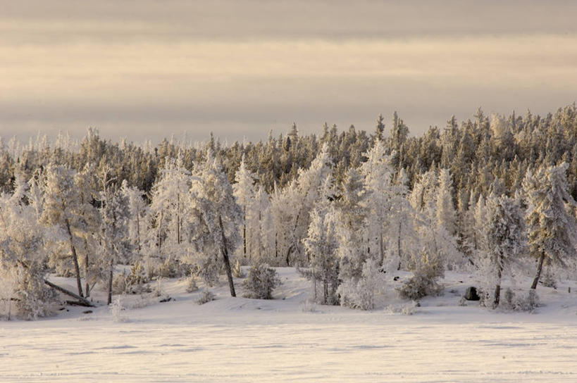 无人,横图,室外,白天,正面,美景,日落,树林,雪,植物,大雪,加拿大,一堆,一排,阴影,堆叠,堆积,整齐,光线,影子,积雪,景观,晚霞,霞光,雪景,云,云朵,冬季,冬天,落日,云彩,树,树木,排列,蓝色,绿色,白云,蓝天,天空,阳光,自然,黄昏,天,景色,彩霞,寒冷,生长,晴朗,成长,堆,北美,北美洲,队列,自然风光,美洲,首府,北亚美利加洲,亚美利加洲,严寒,西北地区,耶罗纳夫,夕照,耶洛奈夫,晴空,夕阳,彩图,黄刀镇,斜阳