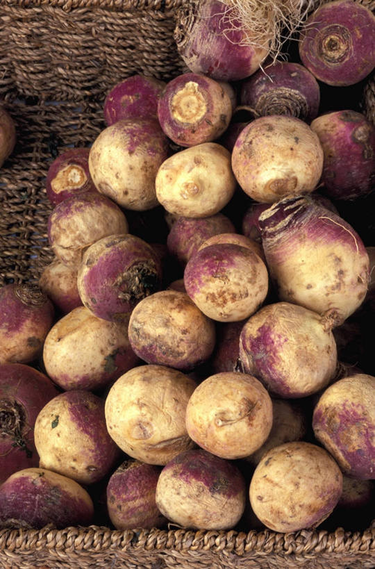 无人,交叉,竖图,俯视,室外,特写,白天,竹子,蔬菜,一堆,阴影,堆叠,堆积,竹制,新鲜,编织,光线,篮子,影子,食品,芜菁,营养,食物,阳光,竹篮,健康,有机食品,绿色食品,竹条,堆,交织,竹制品,蔓菁,盘菜,大头芥,安康,穿插,康健,养分,彩图,高角度拍摄