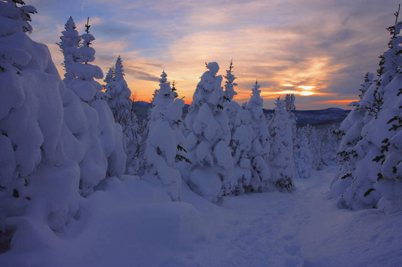 无人,横图,室外,白天,正面,旅游,度假,美景,日落,森林,树林,雪,植物,大雪,加拿大,阴影,光线,影子,积雪,景观,晚霞,霞光,雪景,云,云朵,冬季,冬天,落日,云彩,娱乐,树,树木,蓝色,绿色,白云,蓝天,天空,阳光,自然,黄昏,天,享受,休闲,景色,彩霞,放松,寒冷,生长,成长,北美,北美洲,自然风光,美洲,北亚美利加洲,亚美利加洲,严寒,加斯佩半岛,魁北克省,夕照,夕阳,彩图,古壁省,魁省,斜阳