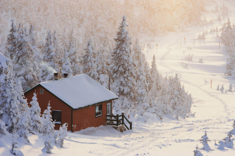 无人,家,木屋,栏杆,横图,俯视,航拍,室外,白天,旅游,度假,美景,雪,植物,大雪,楼梯,加拿大,阴影,光线,扶手,影子,阶梯,积雪,景观,雪景,冬季,冬天,娱乐,护栏,台阶,住宅,树,树木,绿色,阳光,自然,享受,休闲,景色,放松,寒冷,生长,成长,北美,北美洲,鸟瞰,自然风光,美洲,北亚美利加洲,亚美利加洲,严寒,魁北克省,彩图,高角度拍摄,茅舍,茅屋,棚屋,小木屋,小屋,盖斯佩半岛,古壁省,魁省