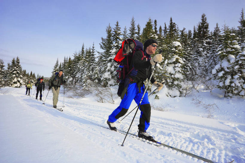 西方人,四个人,伙伴,朋友,走,横图,室外,白天,正面,旅游,度假,友谊,美景,雪,植物,大雪,欧洲,加拿大,欧洲人,一排,阴影,服装,整齐,光线,包,工具,器材,影子,积雪,景观,雪景,冬季,冬天,旅行包,注视,休闲装,娱乐,树,树木,排列,衣服,蓝色,绿色,蓝天,天空,阳光,自然,背包,天,观察,看,享受,休闲,休闲服,器械,景色,放松,寒冷,服饰,生长,晴朗,成长,拐杖,观看,察看,北美,北美洲,队列,关注,自然风光,美洲,万里无云,登山杖,北亚美利加洲,亚美利加洲,严寒,辅助设备,旅游包,加斯佩半岛,魁北克省,登山棍,友情,男人,男性,中年男性,白种人,晴空,晴空万里,步行,登山,爬山,散步,走路,彩图,全身,加斯佩,古壁省,魁省,双肩包