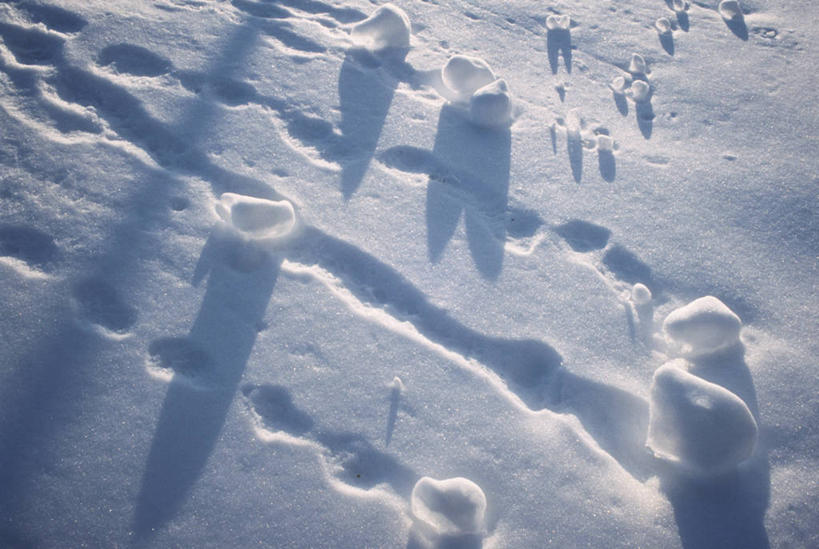 无人,横图,俯视,室外,白天,旅游,度假,美景,山,雪,雪山,大雪,加拿大,阴影,光线,影子,冰,积雪,景观,山峰,雪景,冬季,冬天,山峦,痕迹,娱乐,阳光,自然,享受,休闲,景色,放松,寒冷,冰冷,北美,北美洲,自然风光,美洲,新斯科舍,北亚美利加洲,亚美利加洲,严寒,冰凉,酷寒,凛冽,凛凛,极冷,陈迹,新斯科舍省,彩图,高角度拍摄,诺省,斯高沙省,新省,新斯高沙省,新斯科细亚省