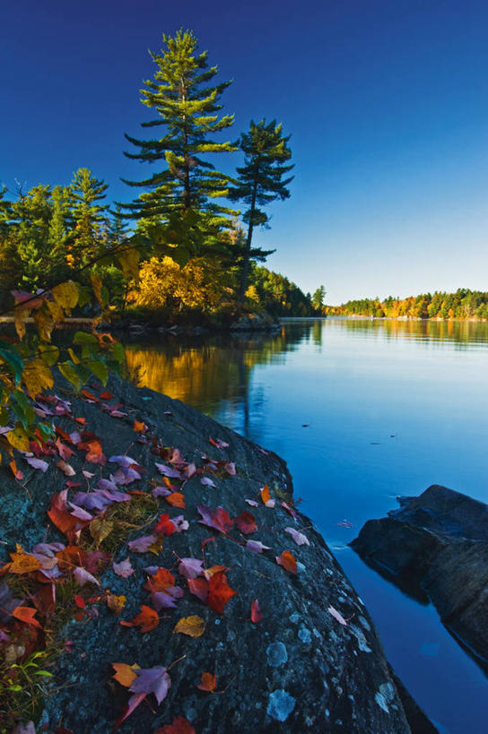 无人,公园,竖图,室外,白天,正面,旅游,度假,湖,湖泊,石头,美景,水,植物,叶子,加拿大,阴影,波纹,光线,石子,影子,湖面,景观,水流,水面,枯叶,落叶,涟漪,娱乐,树,树木,蓝色,绿色,倒影,蓝天,水纹,天空,阳光,自然,波浪,湖水,天,享受,休闲,景色,放松,生长,晴朗,成长,倒映,北美,北美洲,自然风光,美洲,万里无云,水晕,北亚美利加洲,亚美利加洲,安大略省,安省,反照,基拉尼省立公园,省立公园,叶,叶片,石块,岩石,晴空,晴空万里,彩图