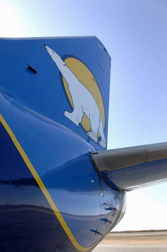 无人,机场,竖图,室外,白天,仰视,飞机,飞机场,北极熊,野生动物,熊,阴影,光线,影子,交通,航空,一只,蓝色,蓝天,天空,阳光,动物,交通工具,天,运输,晴朗,客机,载具,凶猛,万里无云,残暴,凶残,航空站,空港,晴空,晴空万里,白熊,彩图,低角度拍摄