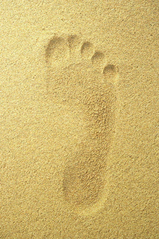 脚,脚趾,脚趾甲,无人,竖图,俯视,室外,特写,白天,沙滩,脚印,阴影,光线,沙子,影子,海岸,沙地,一个,阳光,单个,足迹,行踪,脚迹,脚指甲,海滩,彩图,高角度拍摄