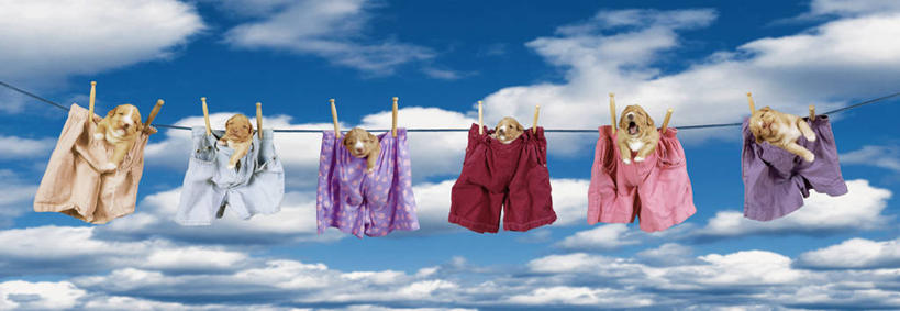 无人,横图,室外,白天,正面,许多,吊挂,悬挂,阴影,光线,影子,云,云朵,挂,云彩,蓝色,白云,蓝天,天空,阳光,夹子,晾衣绳,绳子,天,精致,优美,精美,精彩,精巧,时装,彩图