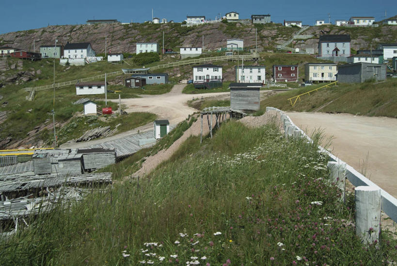 无人,家,横图,俯视,室外,白天,度假,美景,树林,植物,城市风光,城市,加拿大,房屋,屋子,景观,公寓,娱乐,洋房,楼房,住宅,树,树木,蓝色,绿色,蓝天,天空,自然,天,享受,休闲,景色,放松,生长,晴朗,成长,北美,北美洲,美洲,万里无云,北亚美利加洲,亚美利加洲,纽芬兰,晴空,晴空万里,彩图,高角度拍摄,房子,纽芬兰.拉布拉多,纽芬兰.拉布拉多省,纽芬兰岛