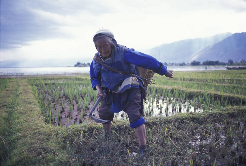 东方人,背,一个人,农田,站,交叉,横图,室外,白天,正面,旅游,度假,庄稼,农作物,美景,雾,竹子,大理,中国,亚洲,仅一个女性,仅一个人,一把,握,竹制,服装,朦胧,模糊,围绕,编织,篮子,景观,拿,拿着,注视,休闲装,黄种人,娱乐,云南,一个,衣服,蓝色,蓝天,天空,自然,竹篮,天,背着,观察,看,站着,享受,休闲,休闲服,景色,放松,握着,服饰,仅一个老年女性,缭绕,单个,观看,竹条,交织,迷雾,察看,竹制品,关注,自然风光,镰刀,旋绕,东亚,农具,云南省,中华人民共和国,西南地区,背负,滇,大理州,大理白族自治州,耕具,萦绕,穿插,背篓,回绕,老年女性,女人,女性,亚洲人,大雾,站立,彩图,全身,耕地,庄稼田