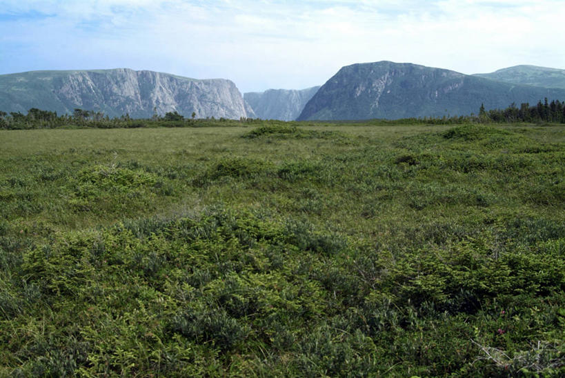 无人,公园,农田,横图,室外,白天,正面,旅游,度假,庄稼,农作物,石头,美景,山,山脉,植物,加拿大,阴影,光线,石子,影子,景观,山峰,悬崖,云,云朵,山峦,云彩,娱乐,蓝色,绿色,白云,蓝天,天空,阳光,自然,群山,天,享受,休闲,陡峭,景色,放松,生长,晴朗,成长,北美,北美洲,国家公园,自然风光,美洲,北亚美利加洲,亚美利加洲,绝壁,格罗斯莫讷国家公园,纽芬兰,笔陡,峻峭,石块,岩石,晴空,彩图,耕地,庄稼田,格罗摩恩国家公园,格罗莫讷国家公园,格罗斯莫恩国家公园,纽芬兰.拉布拉多,纽芬兰.拉布拉多省,纽芬兰岛